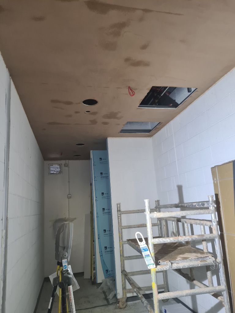 Decorative ceiling