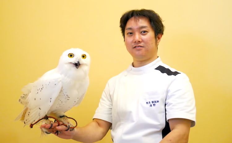 清野院長