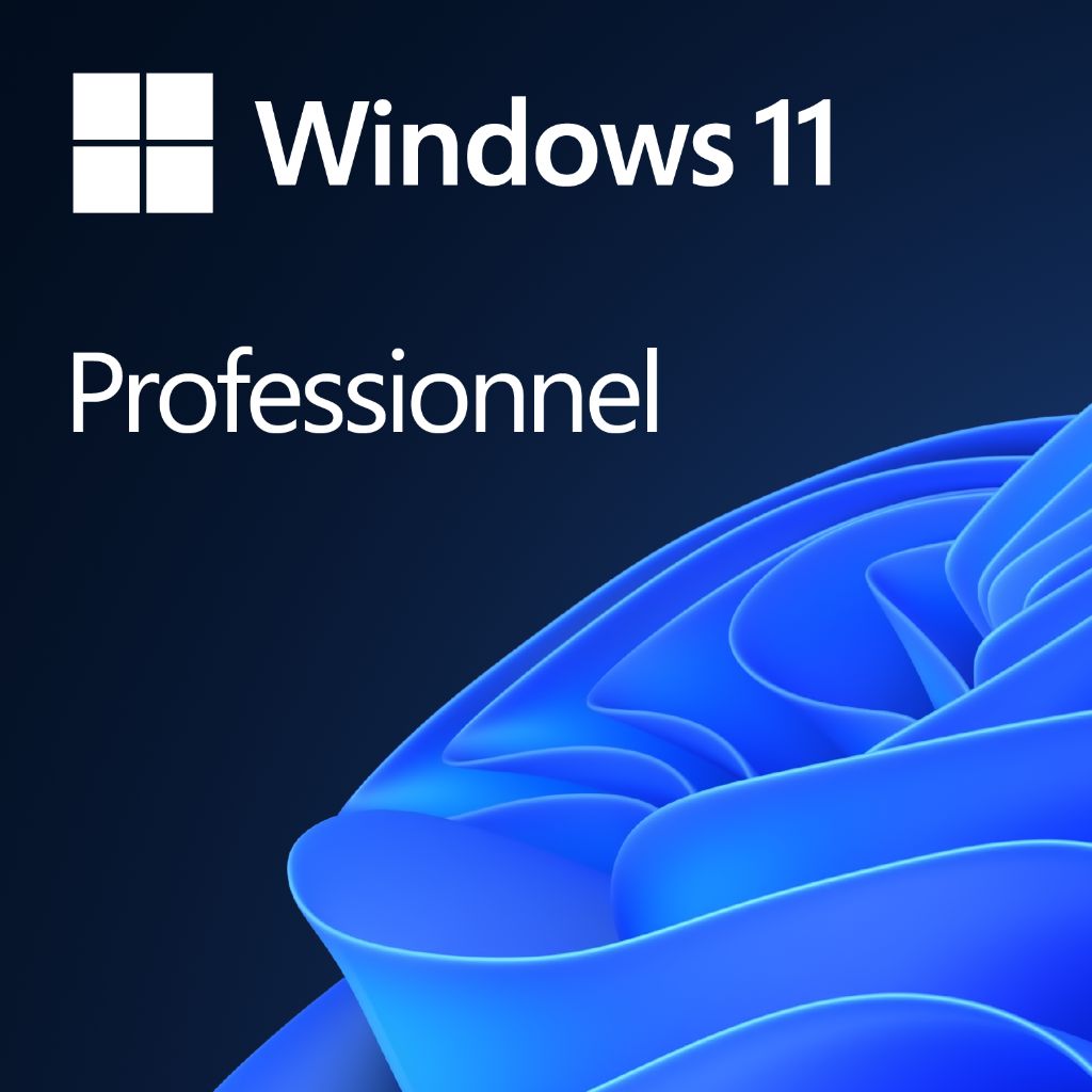 Windows 11 Professionnel